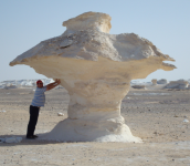 Pilze in der Weißen Wüste